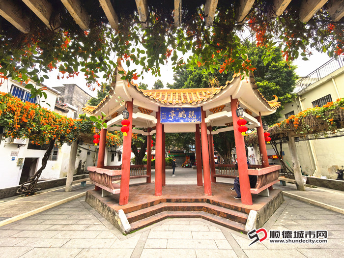 IMG_20250225_105114_副本.jpg