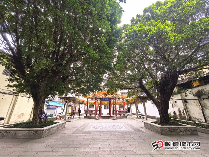 IMG_20250225_111629_副本.jpg