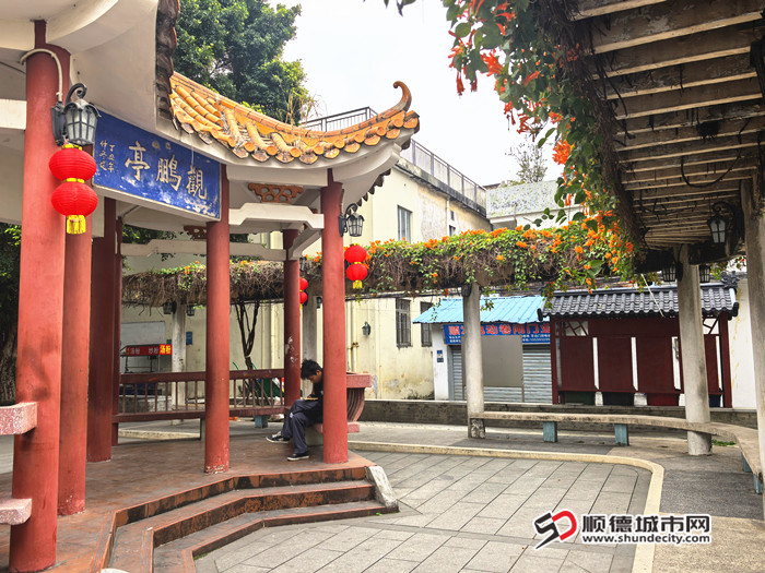 IMG_20250225_105304_副本.jpg