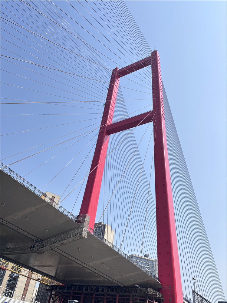 微信图片_20250323115020_副本2.jpg