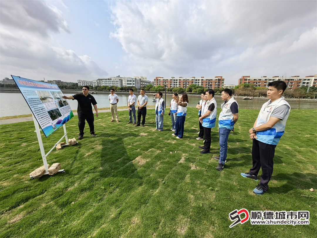 人大代表视察凫洲河天连段美岸示范项目(二期)施工现场 (1).jpg