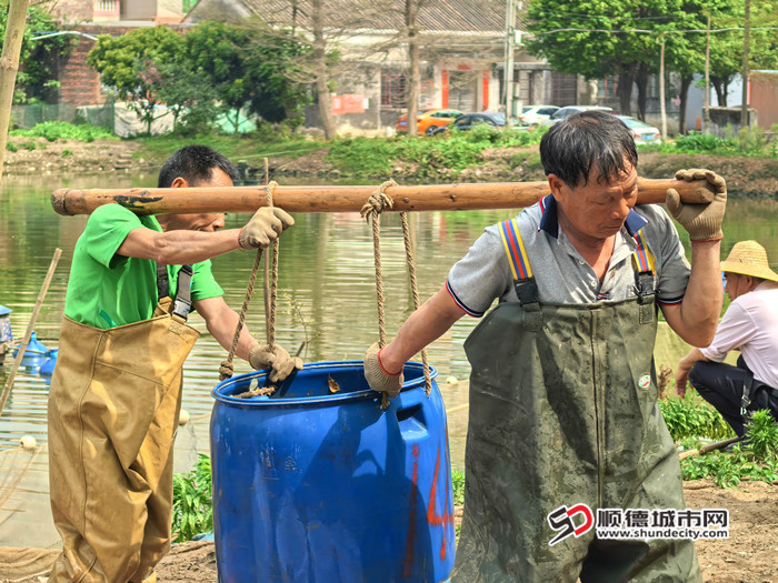 IMG_20250312_104608_副本_副本.jpg