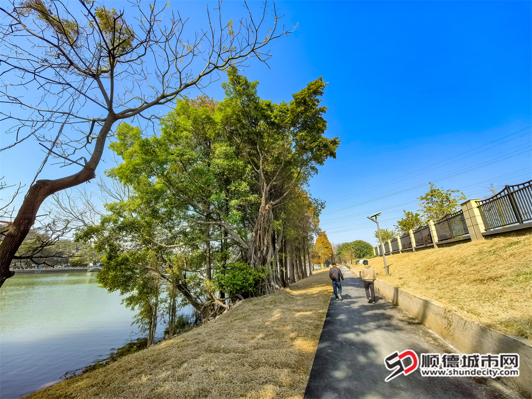 凫洲河天连段美岸示范项目(一期)前后对比 (1).jpg