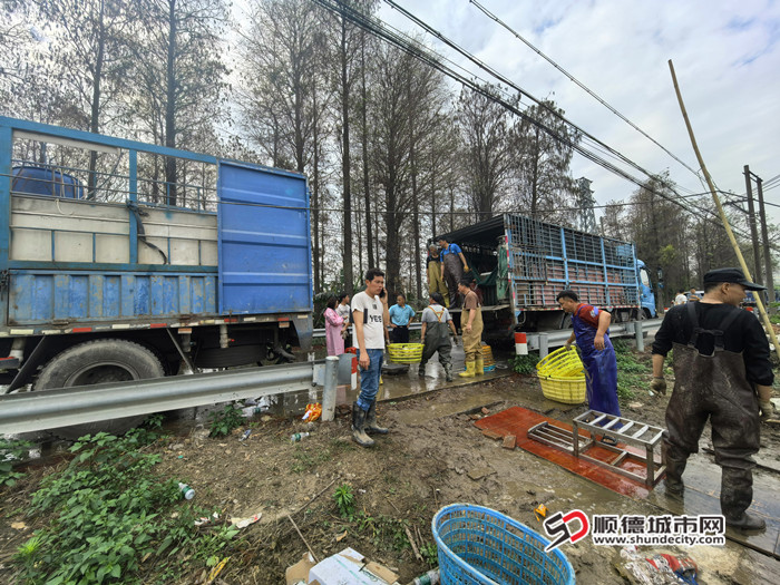 IMG_20250312_101555_副本_副本.jpg