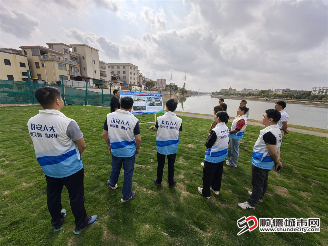 人大代表视察凫洲河天连段美岸示范项目(二期)施工现场 (2).jpg