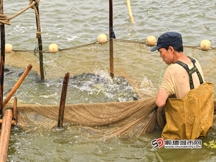 IMG_20250312_101641_副本_副本.jpg