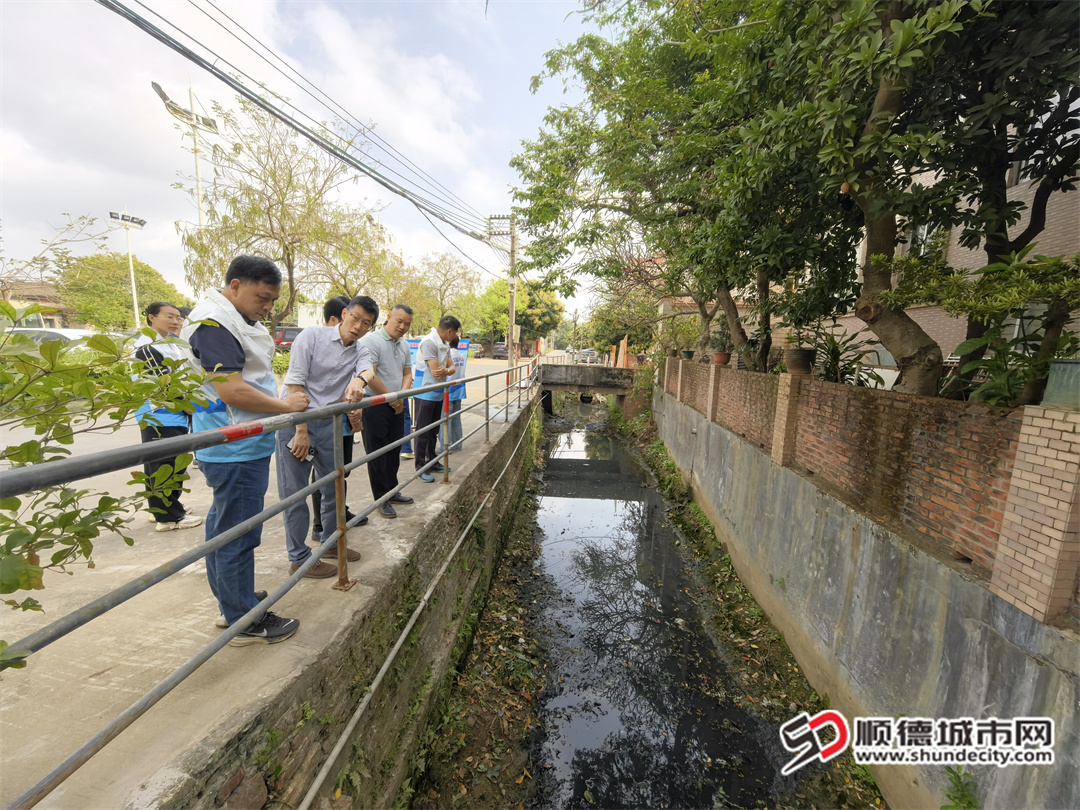 新华下迳涌支涌现状黑臭、有难闻异味.jpg