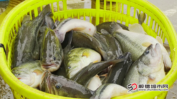 QQ20250327-180836_副本.png