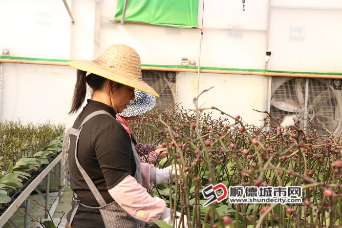 IMG_1774_副本.jpg
