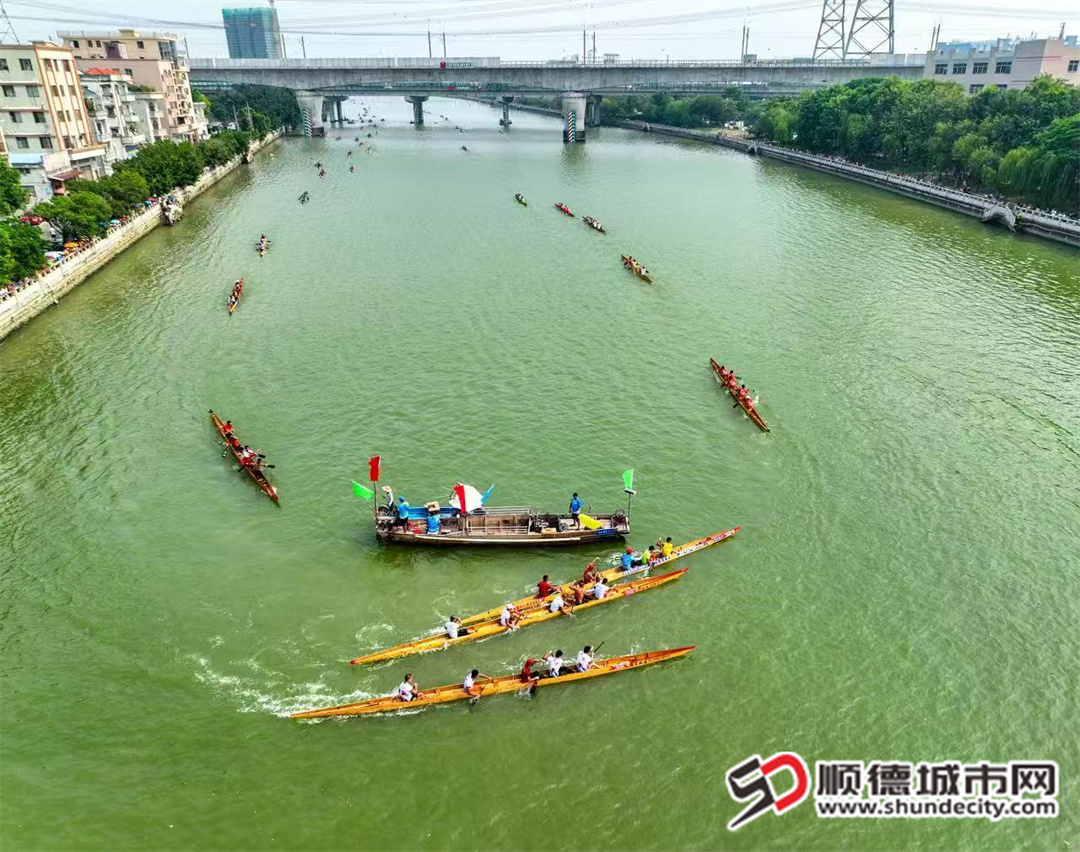 均安凫洲河往年龙舟赛事场景。（摄影：甘培田） (3)(1).jpg