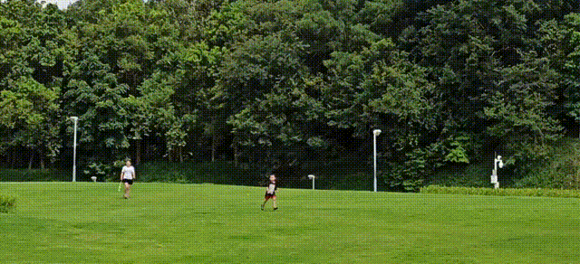 640 (2).gif