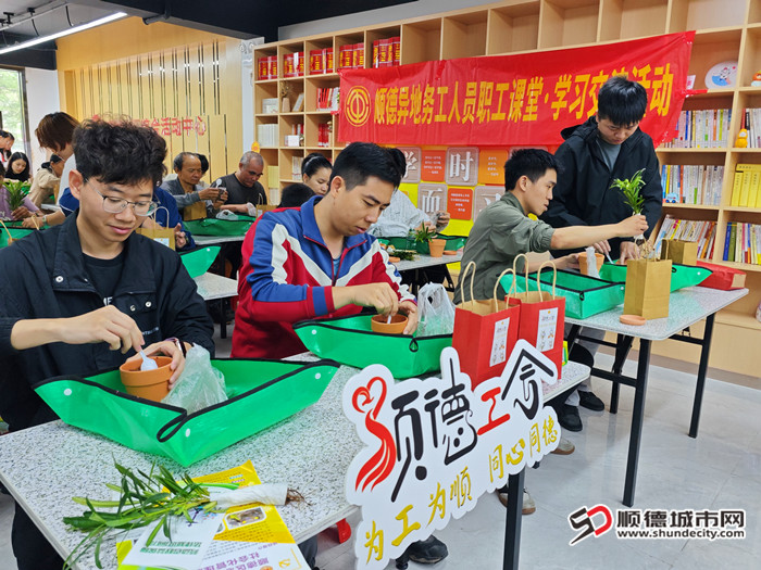 盆栽绿植的心理疗愈活动。.jpg