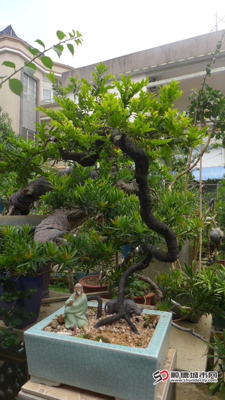 L1040435_副本.jpg
