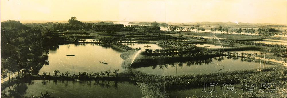 均安“魚鄉”。（攝影：馬卓良）.jpg