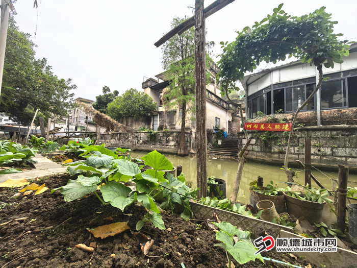 IMG_20250411_103205_副本.jpg
