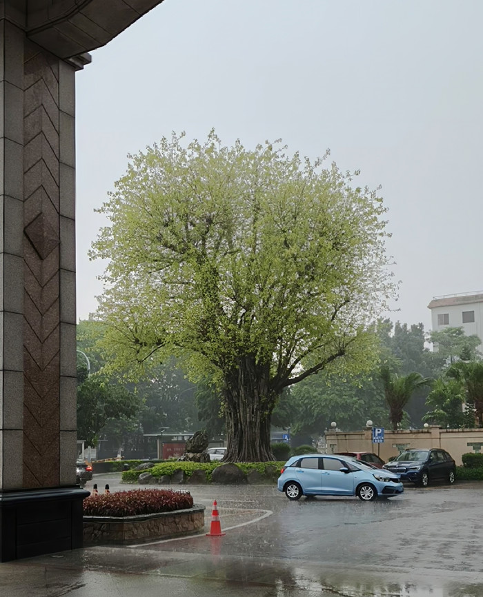 1e9fe202505081746700742813_副本.jpg