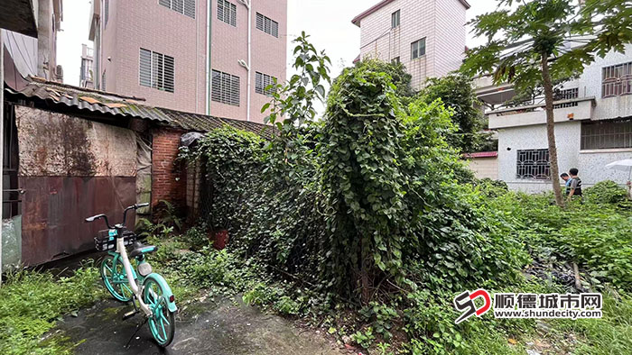 前后对比 (3)1.jpg