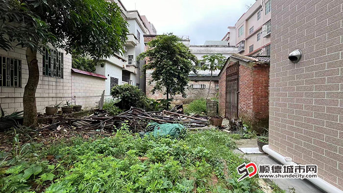 前后对比 (2)3.jpg