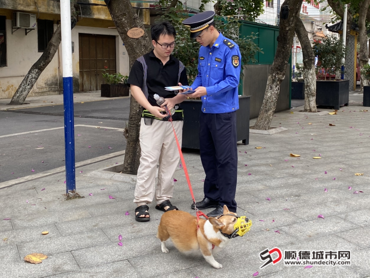 微信图片_20250520191730_副本.jpg