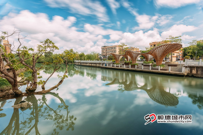 《绚丽鲤鱼沙》陈浩华.jpg