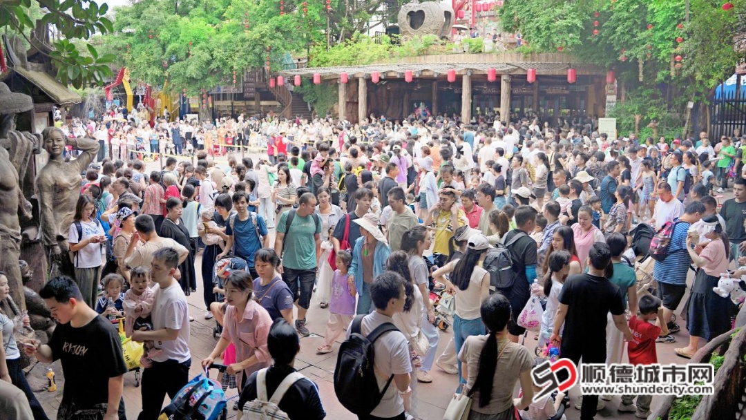 园区.jpg