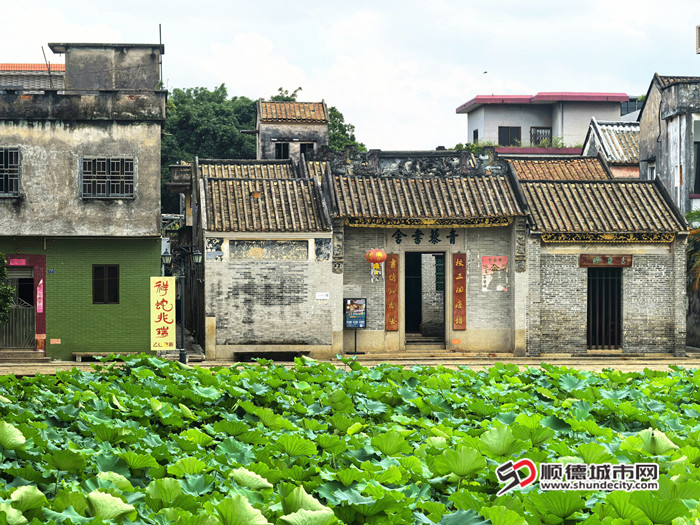IMG_20250611_103147_副本_副本.jpg