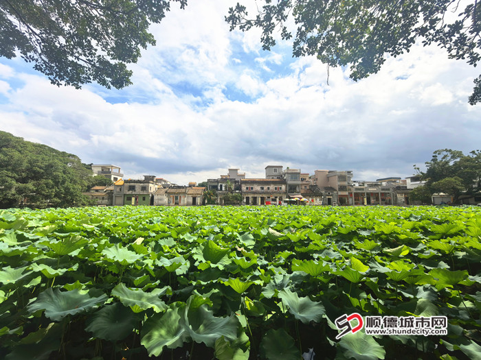 IMG_20250611_095939_副本_副本.jpg