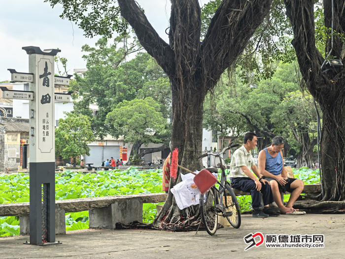 IMG_20250611_103220_副本_副本.jpg