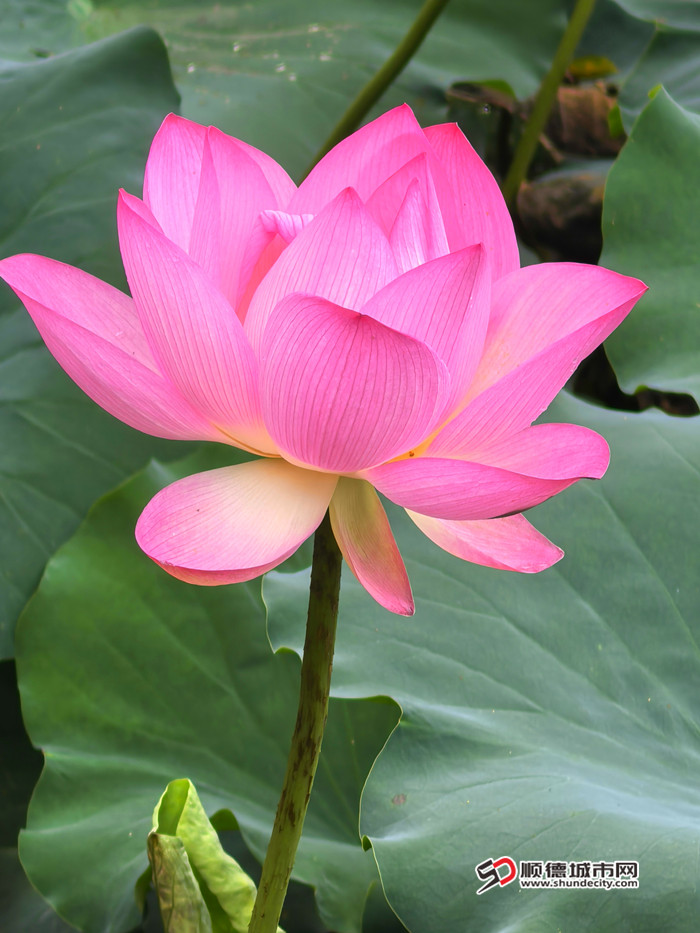 IMG_20250611_100948_副本_副本.jpg