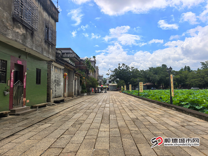 IMG_20250611_101712_副本_副本.jpg