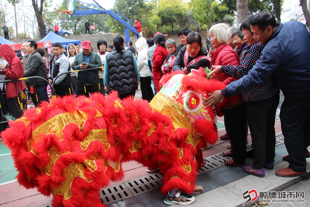 元宵节醒狮活动.JPG