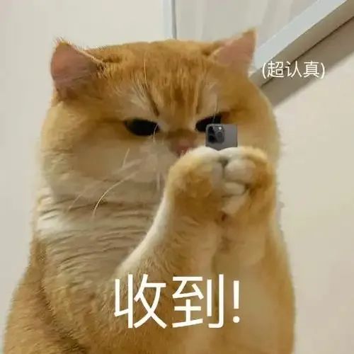 a9f3d25117c0b406ad963e51b610994.jpg