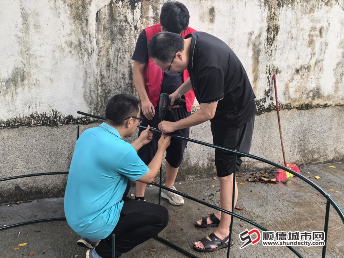 顺德区慢性病防治中心临床党支部书记王陈坤来到“幸福园”搭建棚架_副本.jpg
