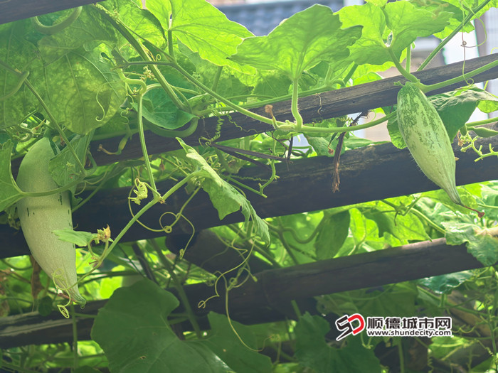 MEITU_20250627_151456942_副本.jpg