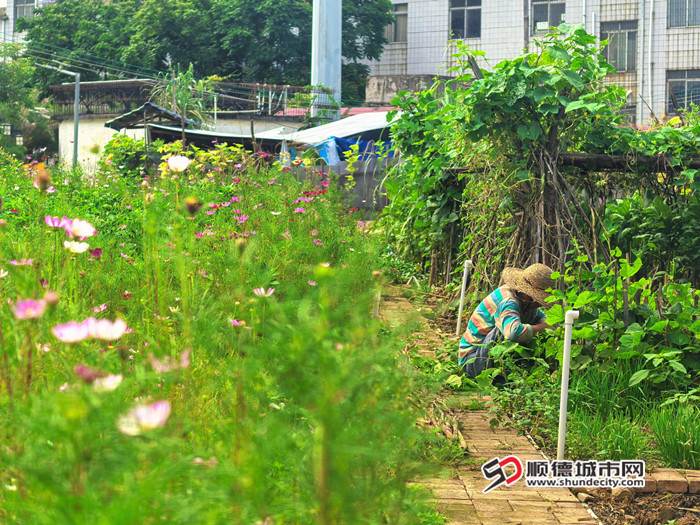 MEITU_20250627_151412726_副本.jpg