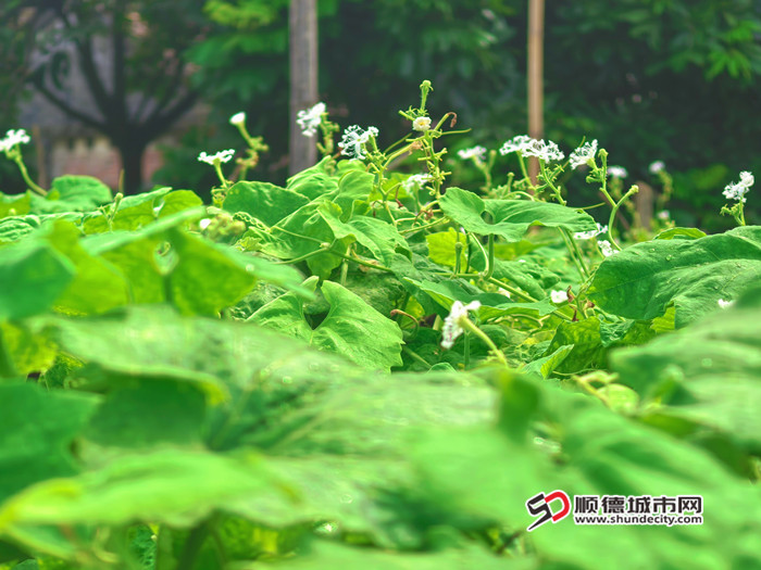 MEITU_20250627_151548988_副本.jpg