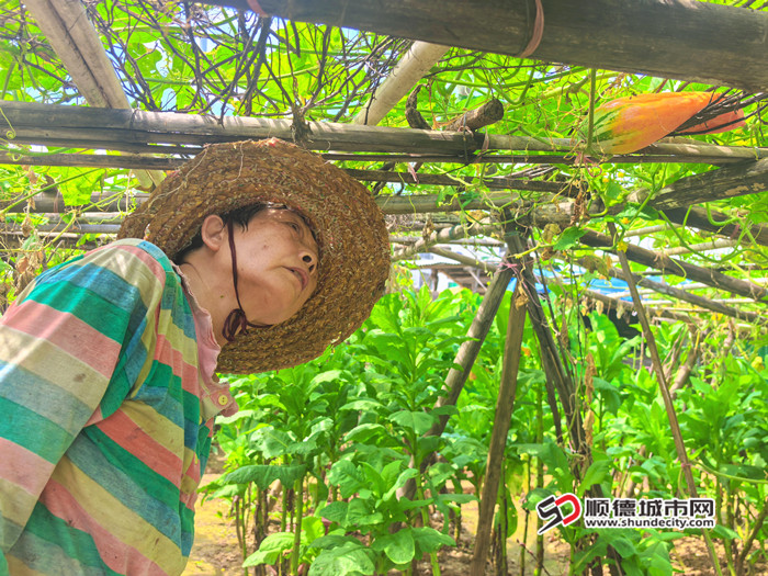 MEITU_20250627_124731365_副本.jpg