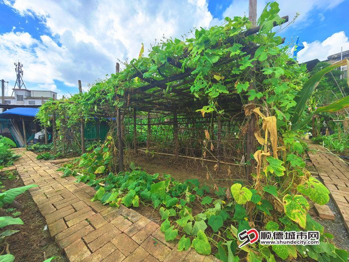 MEITU_20250627_151734124_副本.jpg