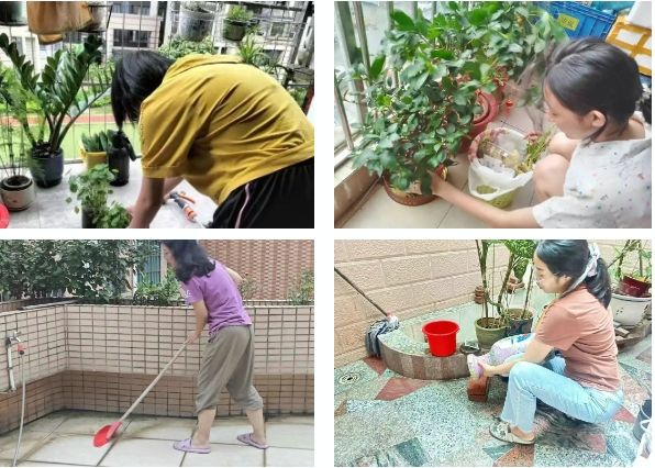 凤城1.png