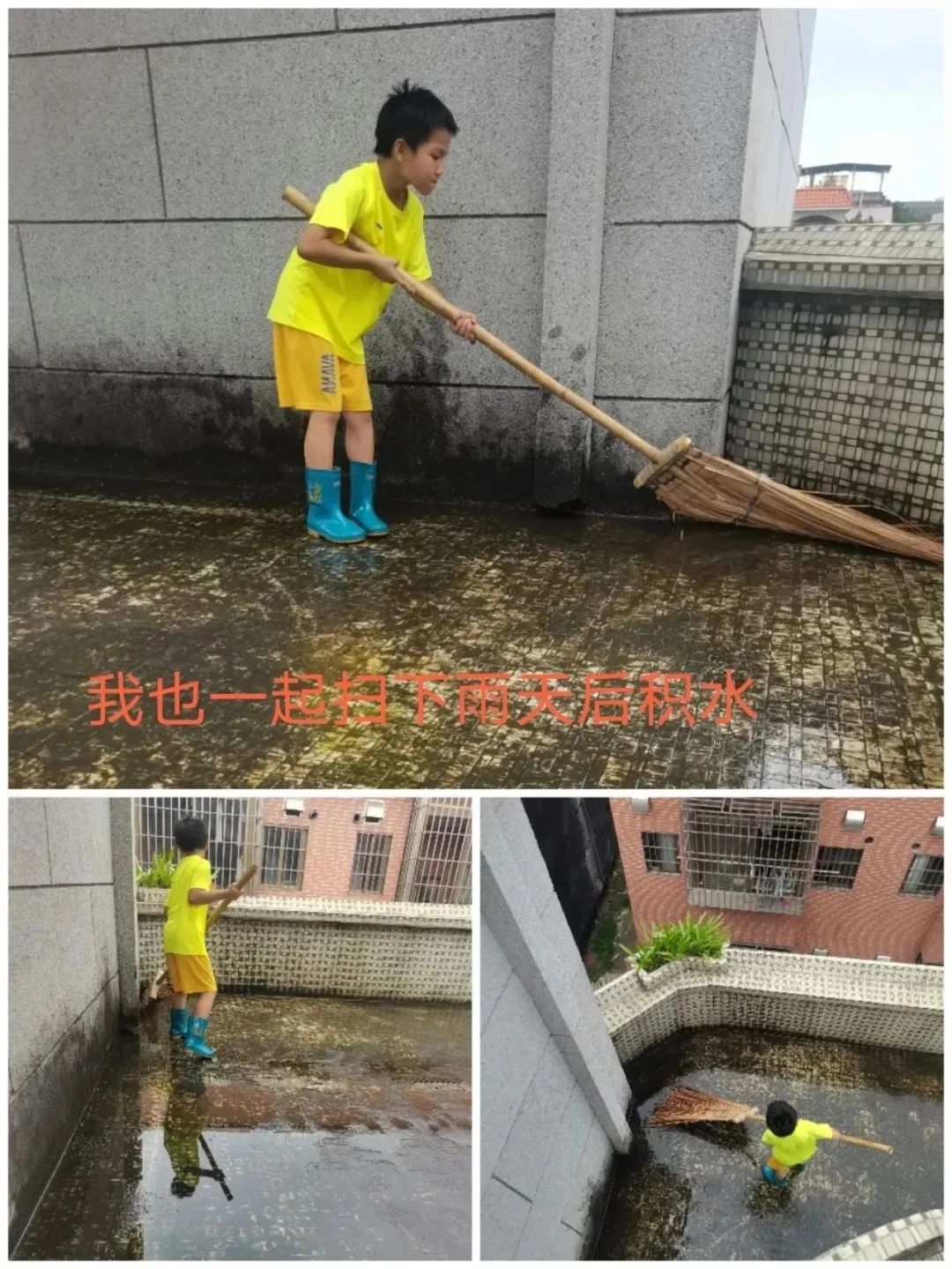 罗沙1.jpg