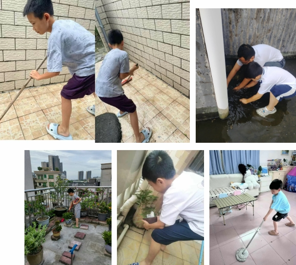 杏坛中心小学1.png