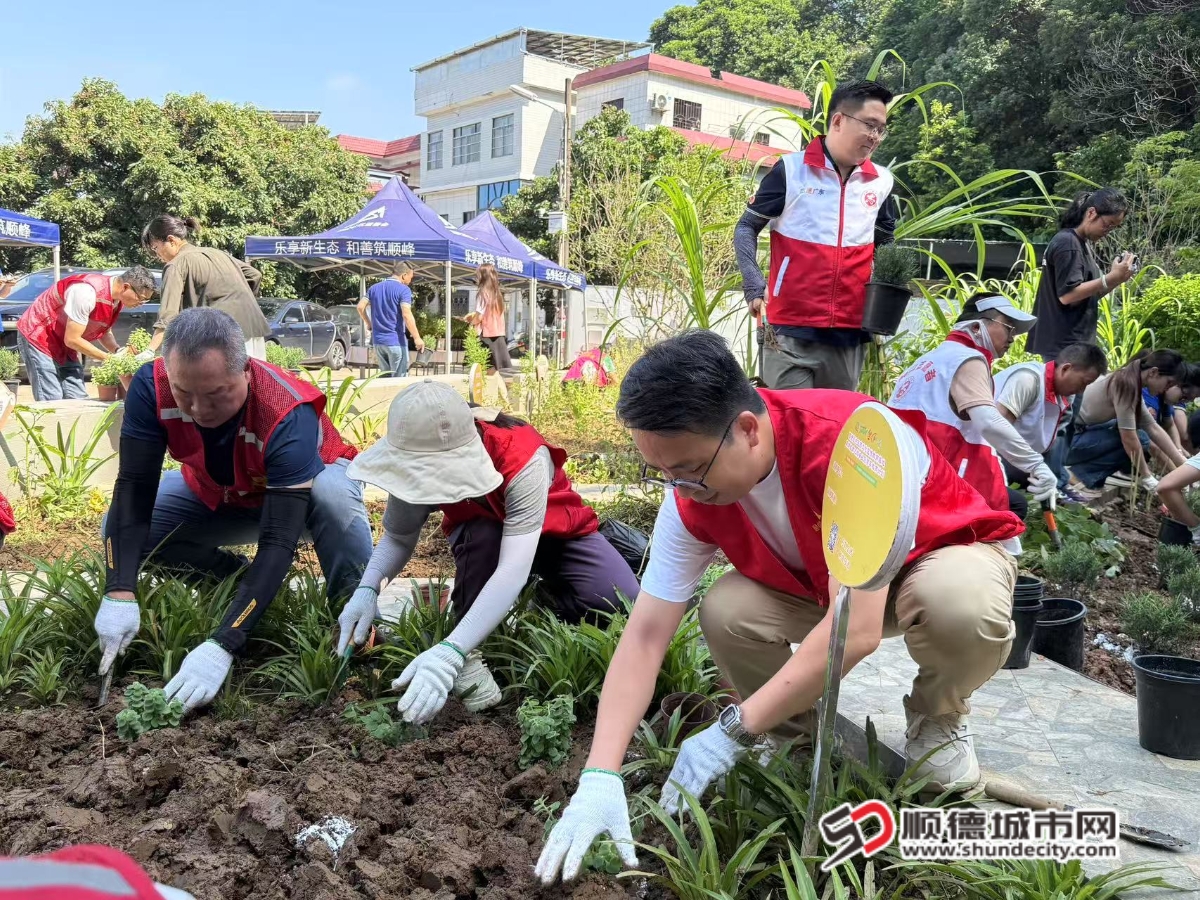 顺峰社区驱蚊植物种植活动_副本.jpg