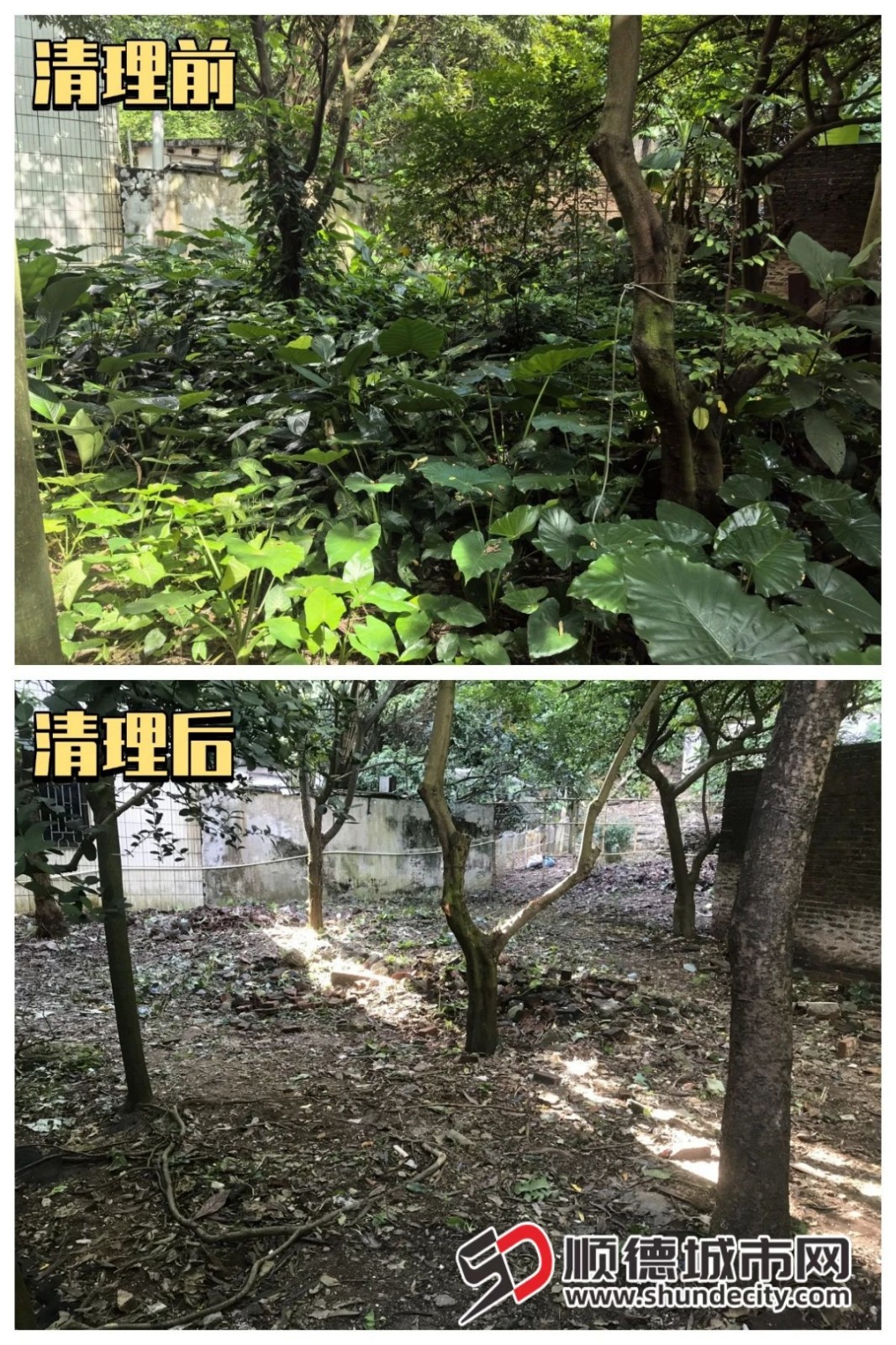 微信图片_20250813185842.jpg
