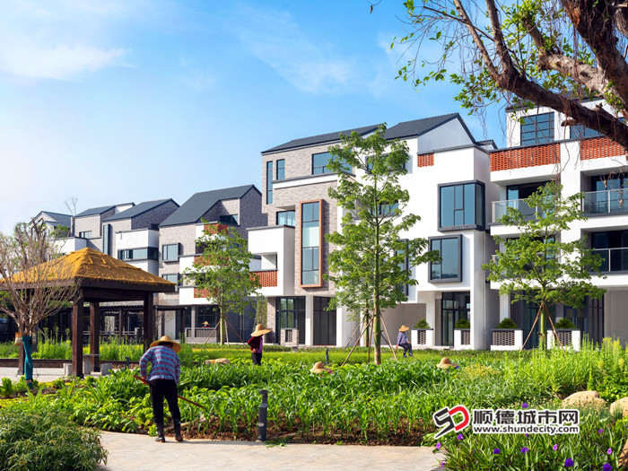 新联村示范项目建成效果。_副本.jpg