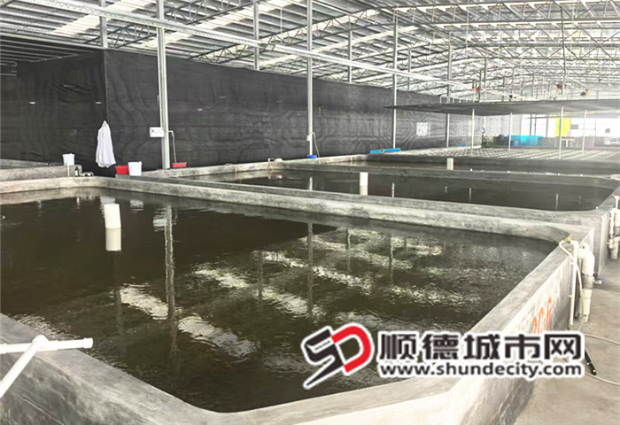 微信图片_20250918233636_162_11_副本.jpg