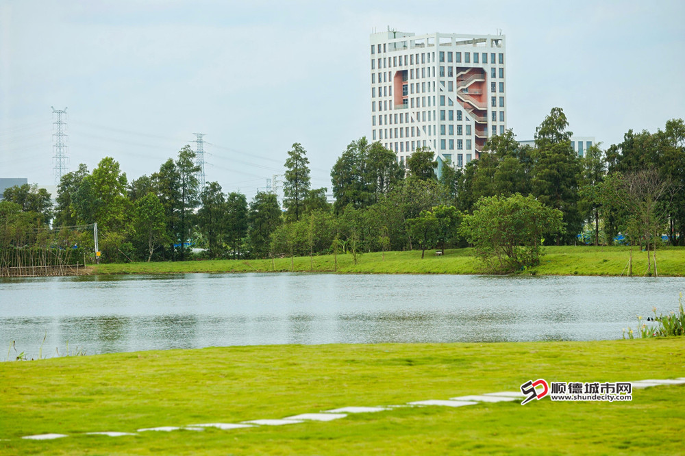 1F8A6238-3999623042 (1).jpg