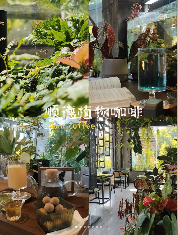 植场咖.png