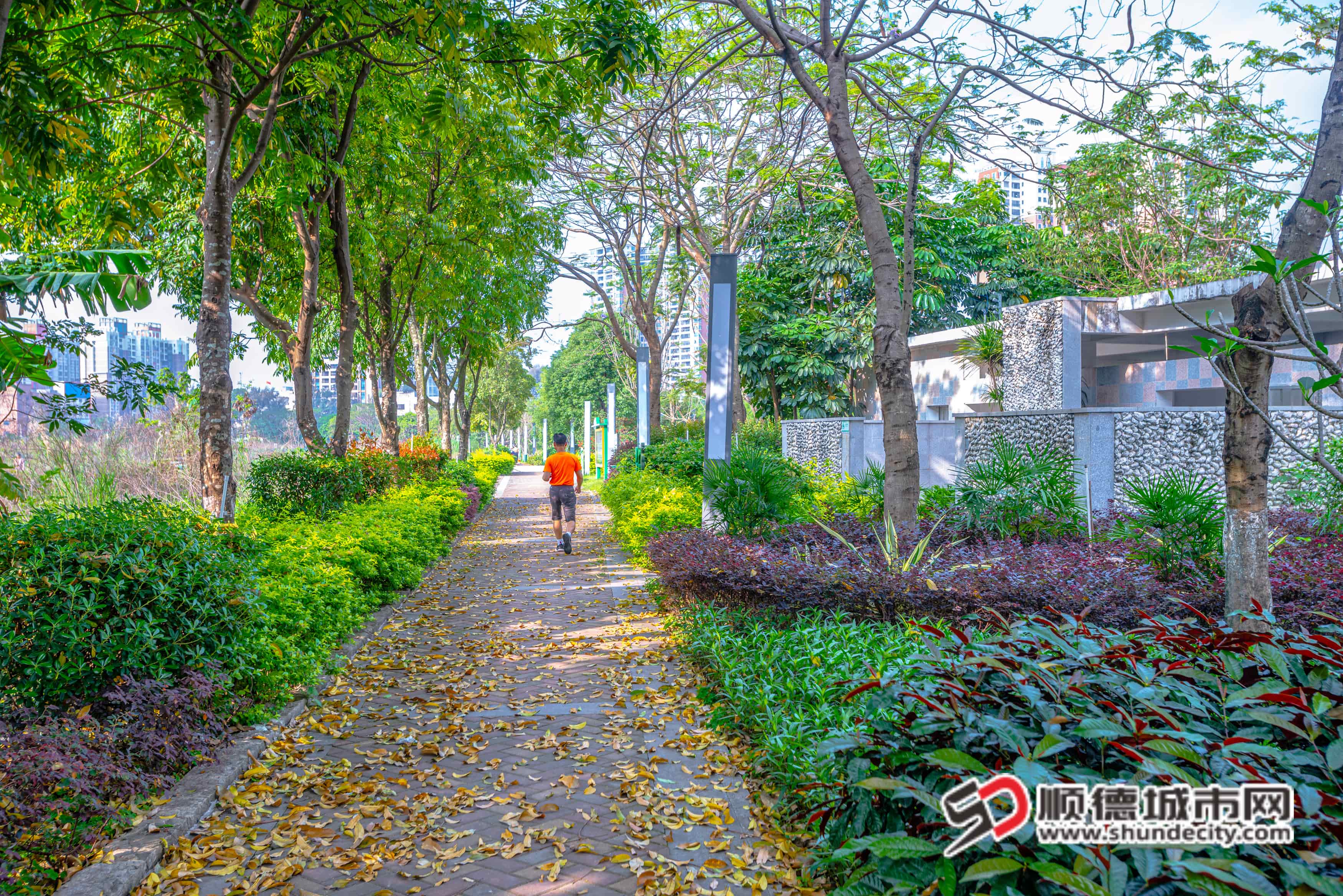 东堤北路配套提升工程 (拍摄：拾趣摄影) (1).jpg