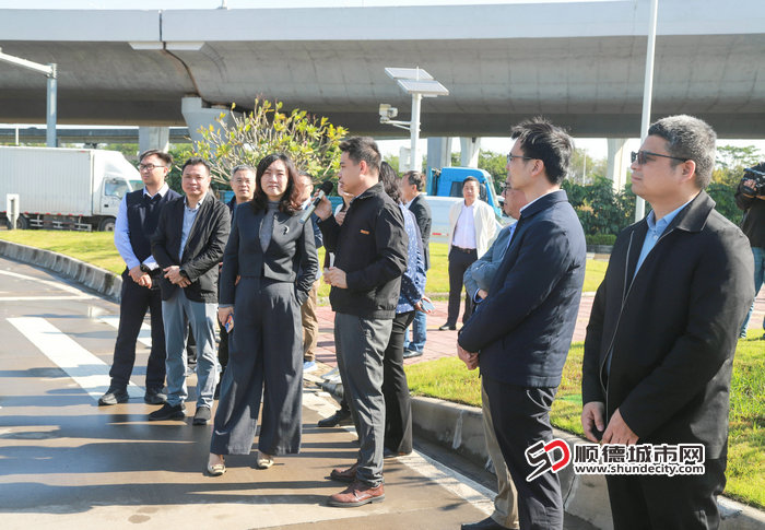 调研杏坛镇安富立交景观提升项目，“敞亮门户”  (3).jpg