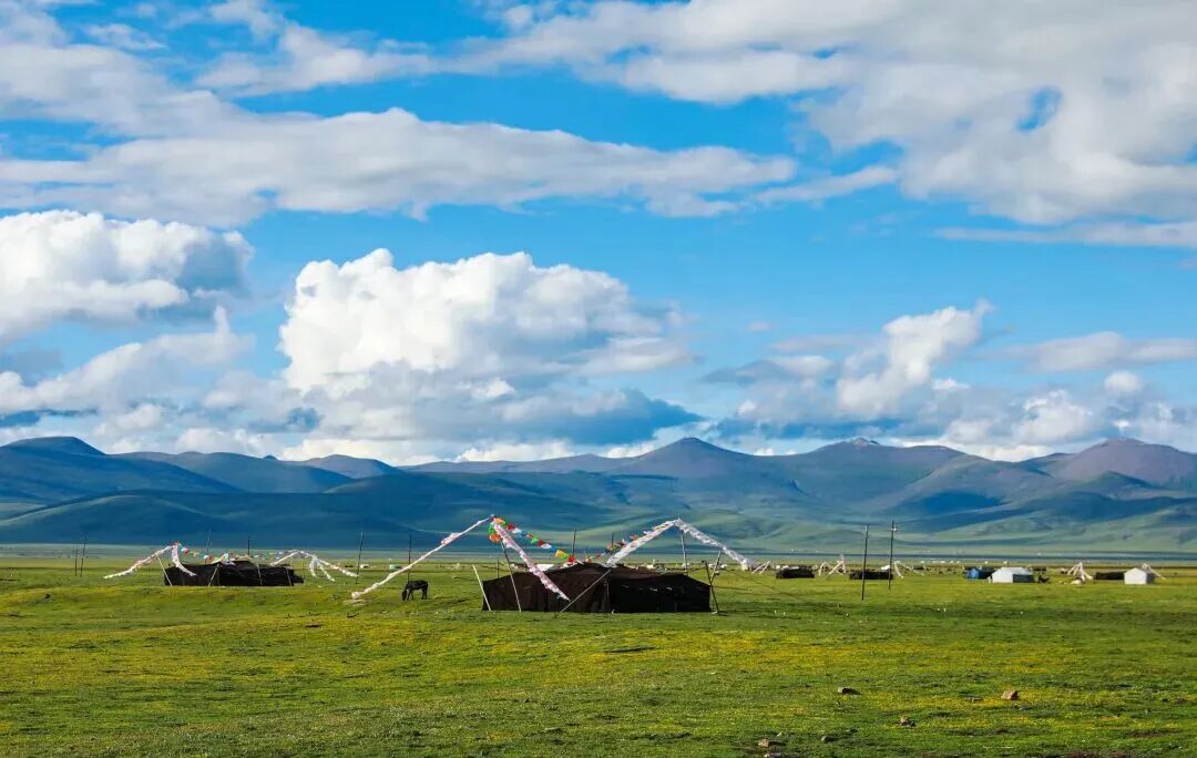 《嘉塘草原》 &nbsp;摄影：索南多杰.jpg